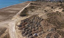 Kumköy'de Çevre Kirliliği Tepkisi: Sorumlular Cezalandırılsın