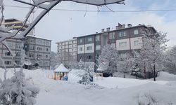 Mart Ayında Kar Sürprizi: Bitlis’te 5 Köy Yolu Kapandı