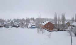 Van’da Kar Yağışı Etkili Oldu: 34 Bölge Ulaşıma Kapandı