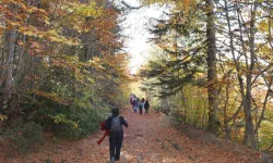 Bakanlıktan Milli Parklar Kanun Teklifi Eleştirilerine Açıklama