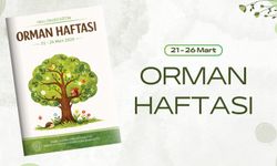 Okul Öncesine Yönelik: Orman Haftası Etkinlik Takvimi Hazırlandı