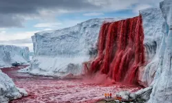 Asırlık Gizem Aydınlandı: Kan Şelalesi’nin Sırrı Ortaya Çıktı