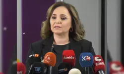 Ayşegül Doğan: Yasal Düzenleme Beklemeyen Adımlar Atılabilir