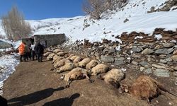 Ahırda Çıkan Yangında 67 Küçükbaş Ve 1 İnek Öldü