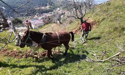 Günlük 8 Bin TL'ye Çalışacak Eleman Bulamıyor