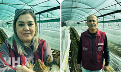 Mersin’de Çiftçiler Kuzugöbeği Mantarı Üretmeyi Öğrenecek