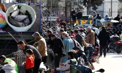 Adana’daki Oltacı Yoğunluğu Galata’yı Andırdı