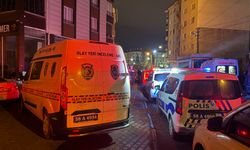 Baba Ve Ağabeyini Tabancayla Vurdu, Babaannesini Yaraladı