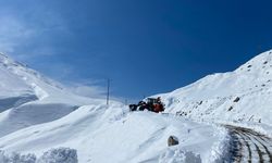 Batman’da 426 Kilometrelik Yol Ağı Kardan Kapandı