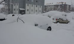 Bitlis’te Kar Nedeniyle 288 Köy Yolu Ulaşıma Kapandı