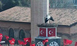 Can Ve Canan Leylekler İkinci Yılında İznik'te Buluştu