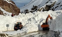 Çığ Nedeniyle Kapanan Van-Hakkari Kara Yolu Açıldı