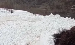 Hakkari'de Çığ Paniği: Köy Halkı Faciadan Döndü