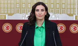 Rızvanoğlu: Ormanlar Bir Kararla Yok Edilemez