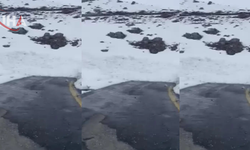 Şırnak Uludere’de Çığ Düştü, Yol Kapandı