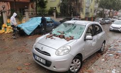 Denizli'de Kuvvetli Rüzgar Hayatı Olumsuz Etkiledi