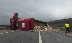 Bursa'da Ahşap Yüklü TIR Devrildi: Sürücü Yaralandı