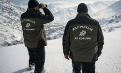 Yasa Dışı Avcılığa DKMP Tarafından 984,7 Bin Lira Ceza Kesildi