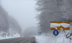 Domaniç-İnegöl Yolunda Yoğun Kar ve Sis Ulaşımı Olumsuz Etkiledi