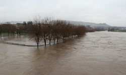 Diyarbakır’da Sağanak: Dereler Taştı, Tarım Arazileri Sular Altında Kaldı