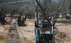 Yalova'da Dereler Taştı, 5 Büyükbaş Hayvan Telef Oldu