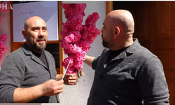 Süs Ağacı Çalınan Esnaf:  Özür Dilerse Şikayetçi Olmayacağım