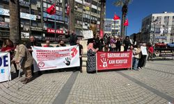 Edremit’te Katliam Protestosu: Hayvanseverler Belediye Binasına Yürüdü