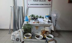 Evdeki ‘Kenevir Serası’na Jandarma Baskını: 2 Gözaltı