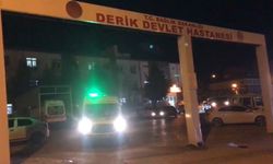 Evinde Kanlar İçinde Bulunan Kadın Yaşamını Yitirdi