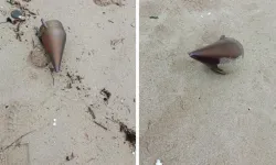 İstanbul Çatalca'da Kıyıya Füze Başlığı Vurdu