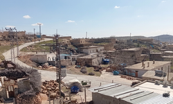 Kuduz Şüphesi Mahalleyi Karantinaya Soktu