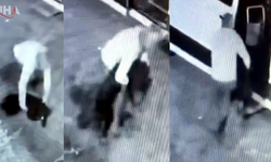 Mahalleli Günlerdir Arıyordu: 'Garip'i Çalan Şüpheli Yakalandı