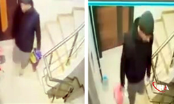 Apartmana Giren Hırsız Katları Gezip Ayakkabıları Çaldı