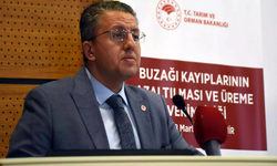 Hayvancılık Hamlesi: Buzağı Kayıpları Azalacak