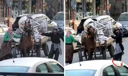 Aşırı Yük Ve Sopa: Avcılar'da Zavallı Ata Zulüm