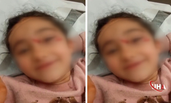 Okul Dönüşü Sokak Köpeklerinin Hedefi Olan Çocuk Yaralandı