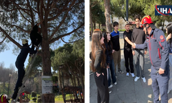 Avcılar’da Top Almak İçin Ağaca Çıkan Genç Mahsur Kaldı