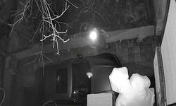 İzmir'deki Hırsızlık Girişimi Şüphelileri Serbest Bırakıldı