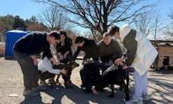 Engelli Köpekler İçin İşitme Engelli Öğrencilerden Destek