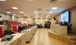 Şile’de Mecliste ‘Barınak’ Gerginliği