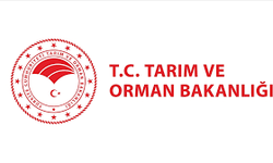 Bakanlıktan Ceza: İşletmede Hayvanlara Kötü Muamele