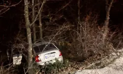Bursa’da Otomobil Ağaçlık Alana Düştü: 1 Yaralı