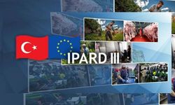 IPARD 3 Çağrı Takvimi Açıklandı: 241 Milyon Avro Hibe