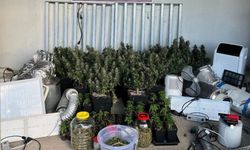 Kocaeli’de Narkotik Operasyonu: 36 Gözaltı