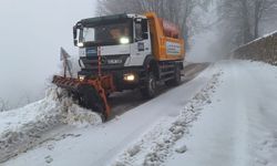Kocaeli'nin Yüksek Kesimlerinde Kar Yağışı Etkili Oldu