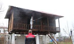 Samsun'da Kahverengi Kokarcalara Karşı  İlaçlama Başladı