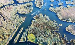 Labirent Şeklindeki Dalyan Kanalı Dronla Görüntülendi