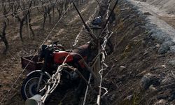 Manisa'da Üzüm Bağına Devrilen Motosiklet Sürücüsü Öldü