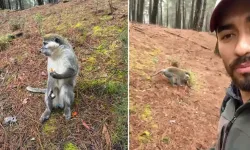 Ormanda Gördüğü Maymunu Simitle Besledi