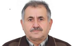 Yiyecek Nefes Borusuna Kaçtı, Hayatını Kaybetti